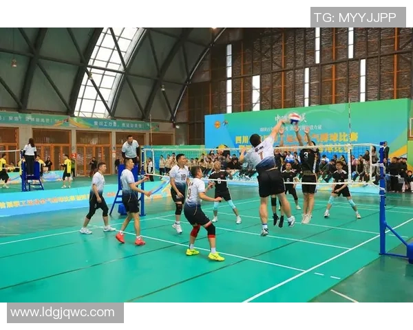 成都排球队的速度之美：探索排球运动的魅力与激情