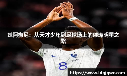 楚阿梅尼：从天才少年到足球场上的璀璨明星之路